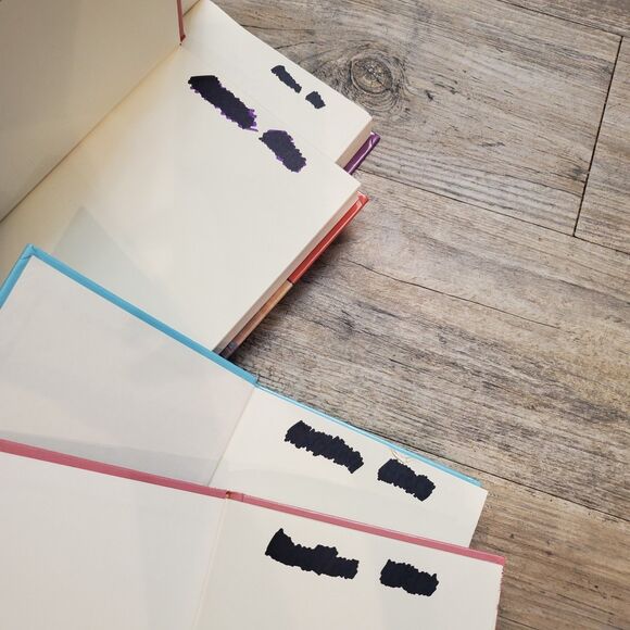 Trixie Belden 2003-2006 Hardcover Lot Of 4 - Random House 1st Editions Books 1-4 - Picture 4 of 16